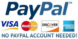 Secured Credit Card Payment Through PayPal
